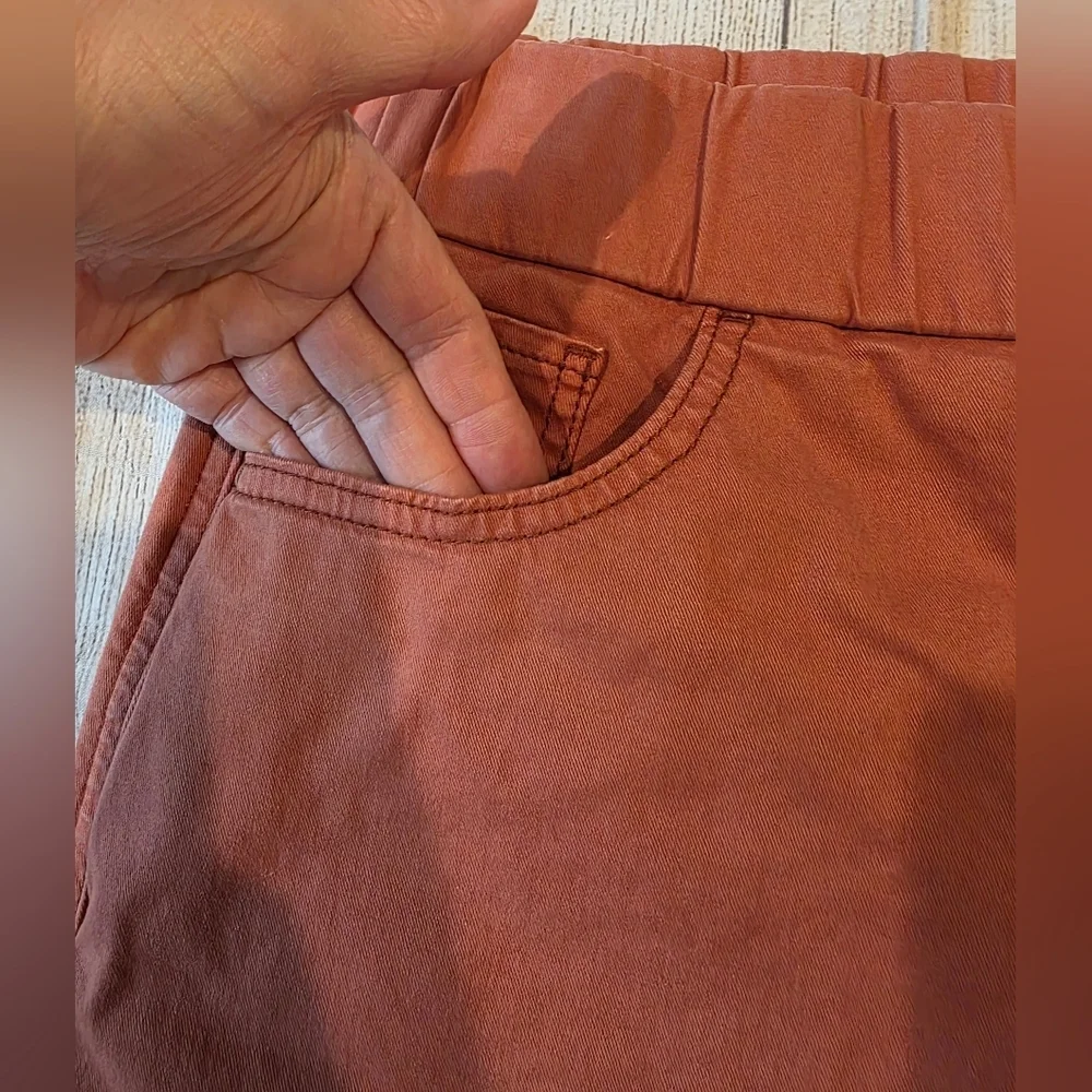 Jag Women's Size 2 On The Go Mid Rise Super Stretch Twill Skort Chutney New Tags - Picture 8 of 11